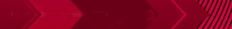 Баннер сервера moyshield.rustix.cc