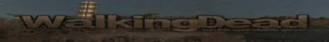 Баннер сервера play.thewd.fun